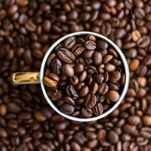 arabika-kopi