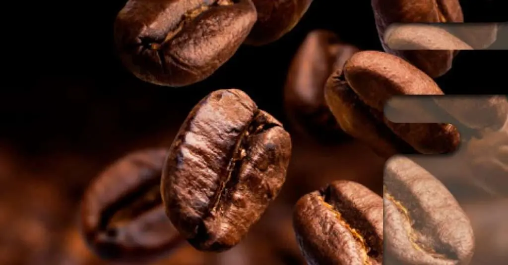 banner-5-jenis-kopi-new