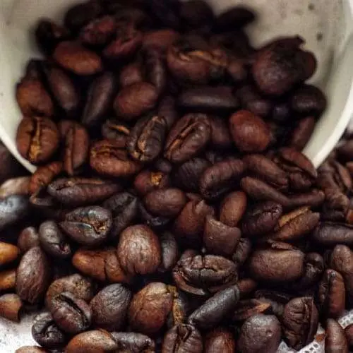 liberika-kopi