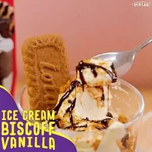 Resepi Ice Cream Biscoff Vanilla cuma 4 BAHAN SAHAJA