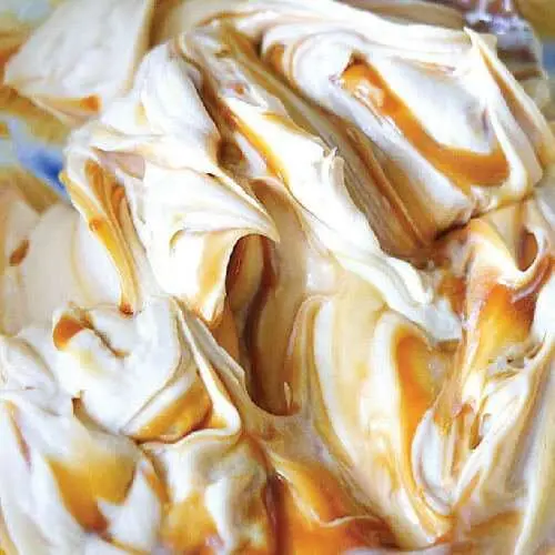 jenis whipping cream 5